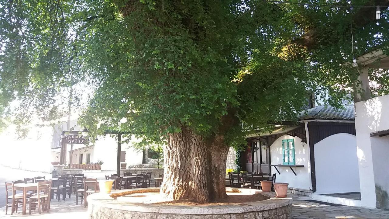 Elm Tree Dream Catcher Strinilas Экстерьер фото